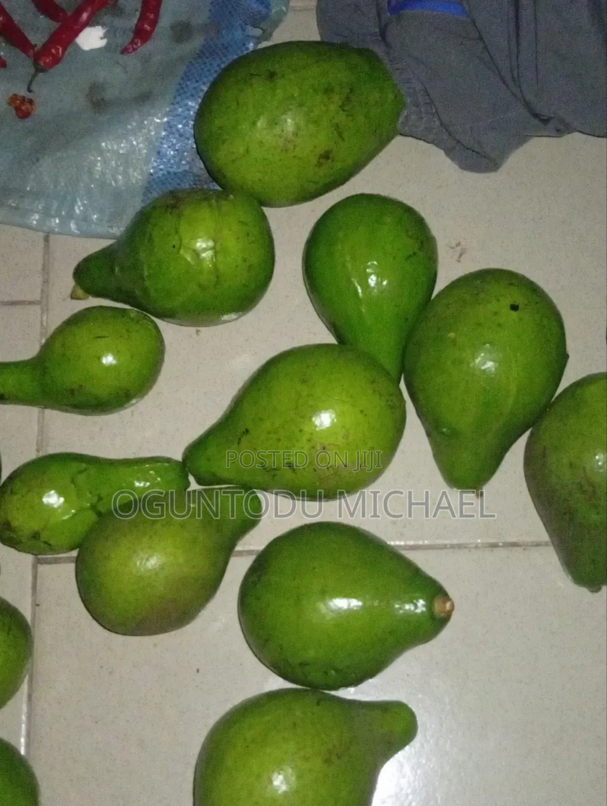 Fresh Avocado Fruit Is Available