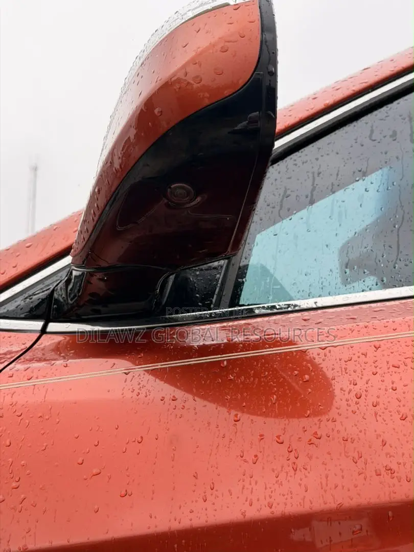 Hyundai Santa Fe 2018 Orange