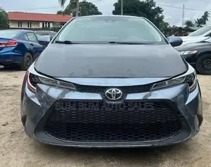 Toyota Corolla LE 2020 Gray