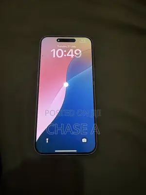 Apple iPhone 15 Pro Max 256 GB Gray