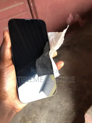 Apple iPhone 13 Pro Max 256 GB Green