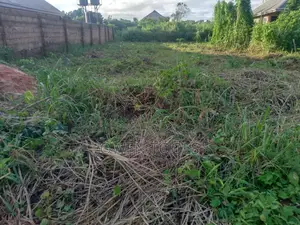 50/100 Land With Foundation