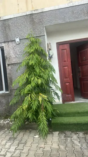 4bdrm Townhouse / Terrace in Life Camp for rent