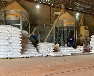 High Quality Wheat Bran