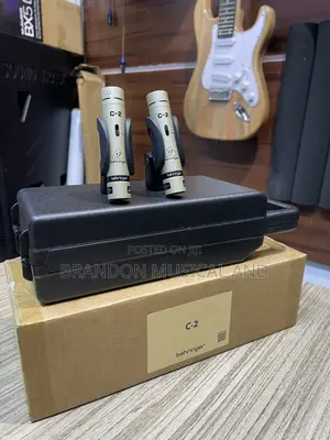Behringer C2 Dynamic Microphone
