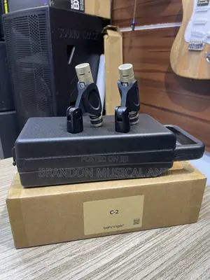 Behringer C2 Dynamic Microphone
