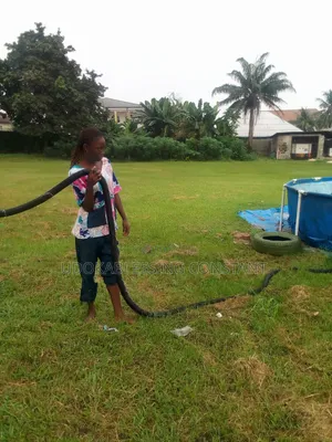 Rendering Cleaning Services
