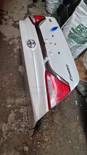 Toyota Bonnet Rav4 3018