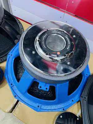 VIP 10000 Watts 18 Inches Naked Speaker