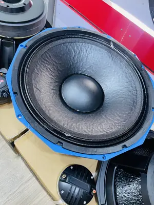 VIP 10000 Watts 18 Inches Naked Speaker