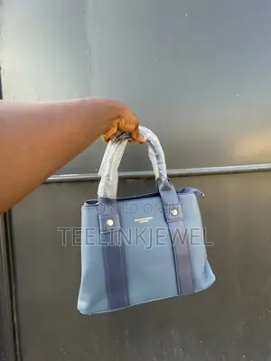 Ladies Handbag