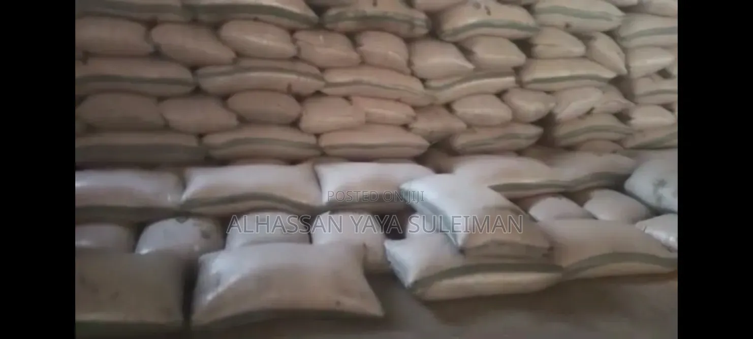 Bulk White/Yellow Maize Available