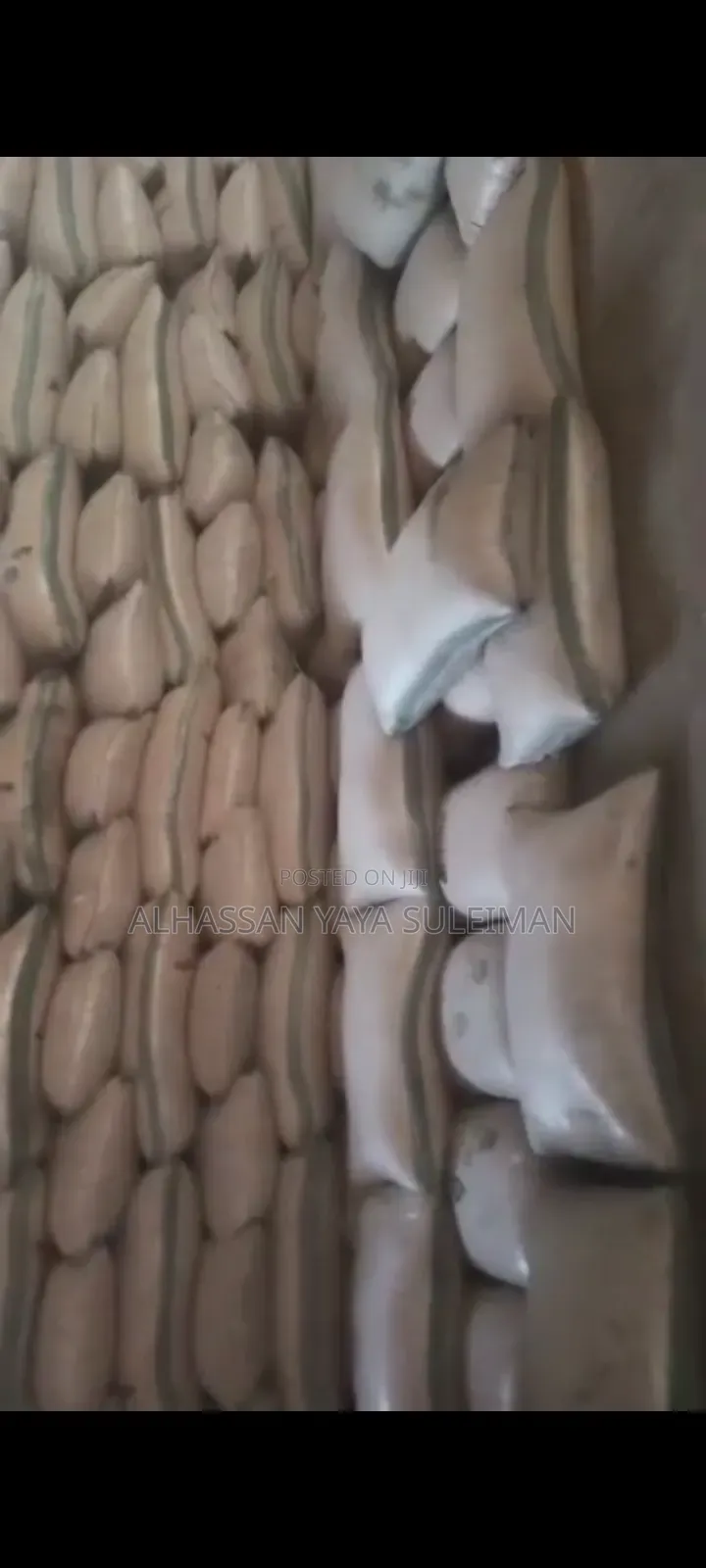 Bulk White/Yellow Maize Available
