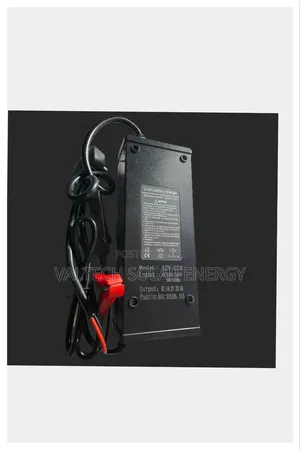 12v 20A Dedicated Smart Lifepo4 Lithium Battery Charger
