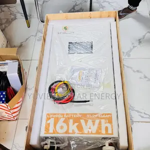 Ecolion 16kWh 51.2V Lithium Battery