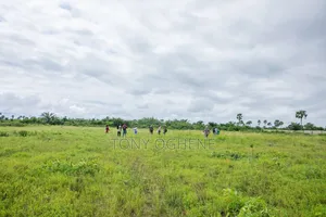 C of O Plots/Acres of Land for Sale in Ibefun Off Ijebu-Ode/Ikorodu Rd