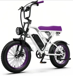 High Quality Electric Bicycle