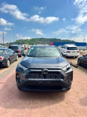 Toyota RAV4 XLE 4dr SUV AWD (2.5L 4cyl 6A) 2014 Gray