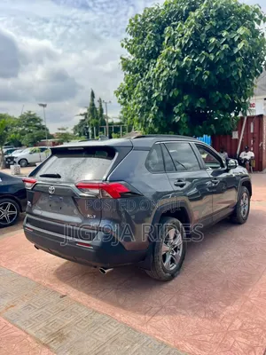 Toyota RAV4 XLE 4dr SUV AWD (2.5L 4cyl 6A) 2014 Gray