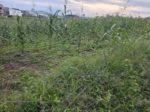 Lifecamp Residential Plot for Urgent Sales