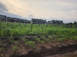 Lifecamp Sweet Residential Plot for Urgent Sale