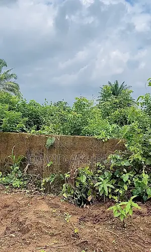 Urgent Sale: 3 Plots of Land in Umuguma, Irete, Owerri, Imo State.