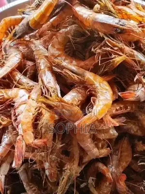 Oron Crayfish
