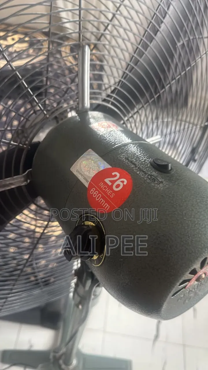 OX Standing Fan