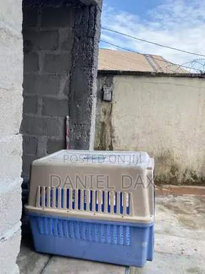 Dog Cage for Sale