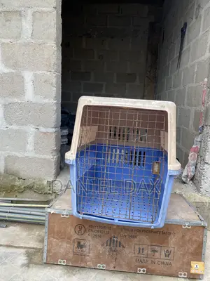 Dog Cage for Sale