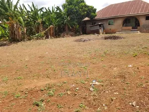 Land Property