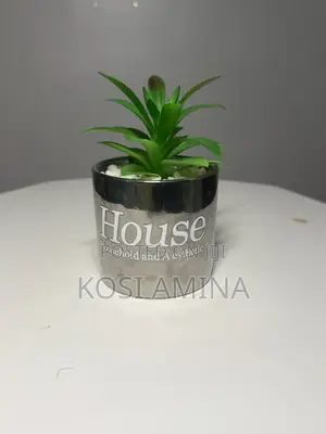Brand Her Home Decor Selling for Give Away Price