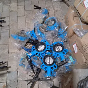 3 Inches Butterfly Valve