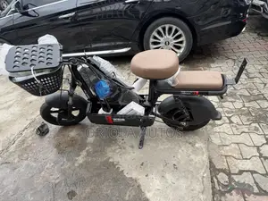 Electric Bike