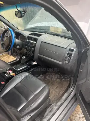 Ford Escape 2010 Silver