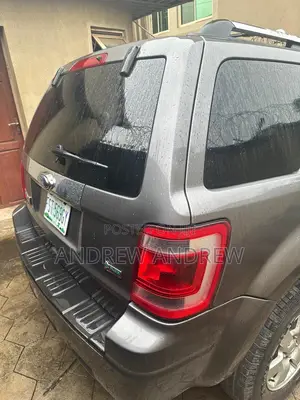 Ford Escape 2010 Silver