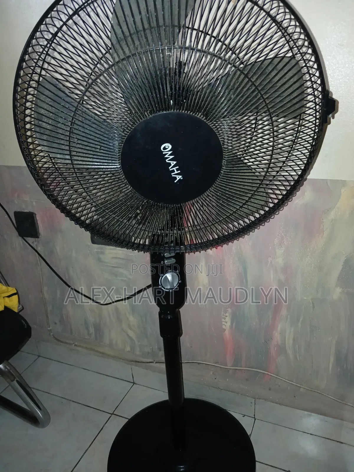 Standing Fan