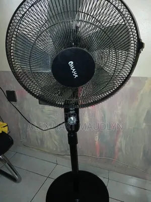 Standing Fan