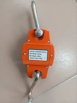 300kg Digital Hanging Scale