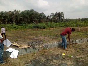 Building Engineer