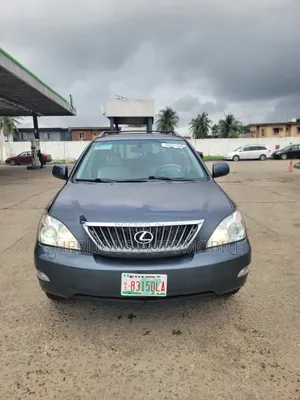 Lexus RX 2008 Gray