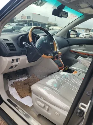 Lexus RX 2008 Gray