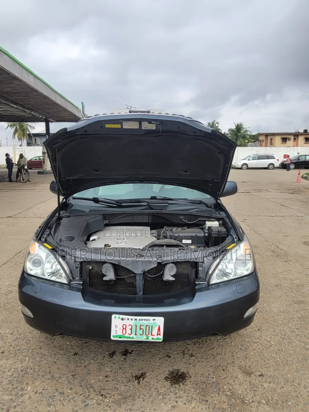 Lexus RX 2008 Gray