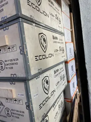 8kwh 24V Ecolion Lithium Ion Battery