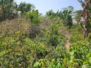 Plot of Land 60 by 120