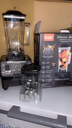2in1 Raf Electric Commercial Blender