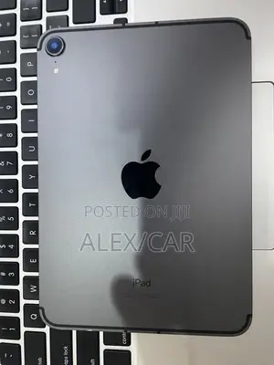 New Apple iPad mini 6 64 GB Gray