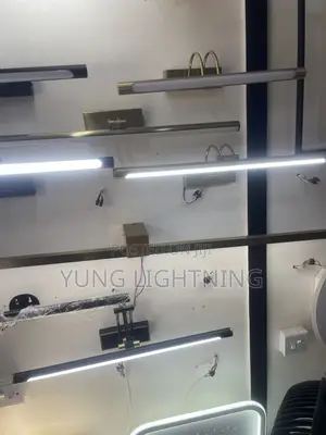 Mirror Light