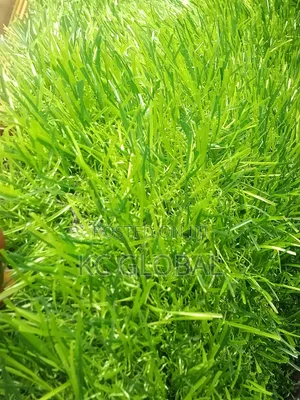Artificial Grass 30mm Green Red Blue Black Yellow Available