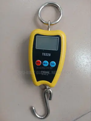 Digital Hanging Crane Scale